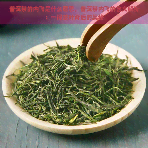 普洱茶的内飞是什么意思，普洱茶内飞的含义解析：一探茶叶背后的奥秘