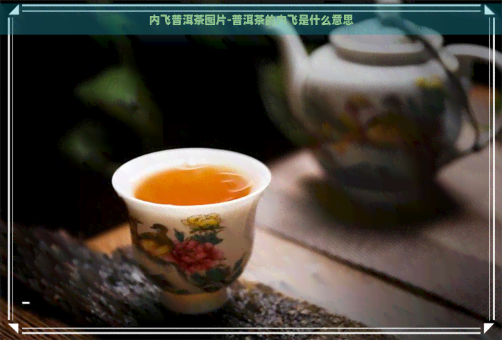 内飞普洱茶图片-普洱茶的内飞是什么意思