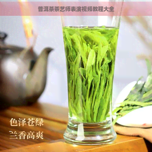 普洱茶茶艺师表演视频教程大全