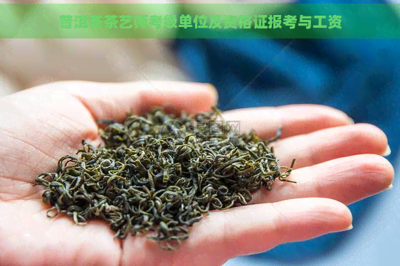 普洱茶茶艺师考级单位及资格证报考与工资