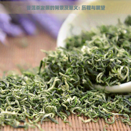 普洱茶发展的背景及意义: 历程与展望