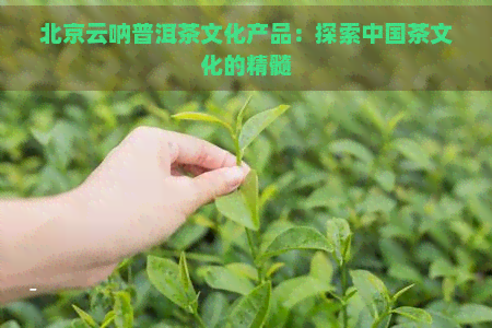 北京云呐普洱茶文化产品：探索中国茶文化的精髓