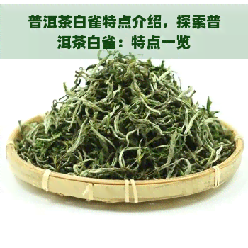 普洱茶白雀特点介绍，探索普洱茶白雀：特点一览