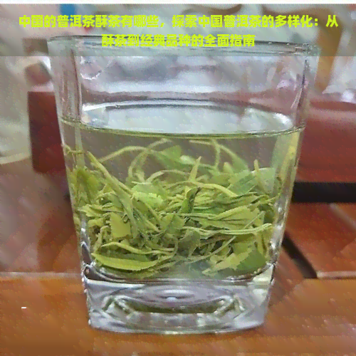 中国的普洱茶酥茶有哪些，探索中国普洱茶的多样化：从酥茶到经典品种的全面指南