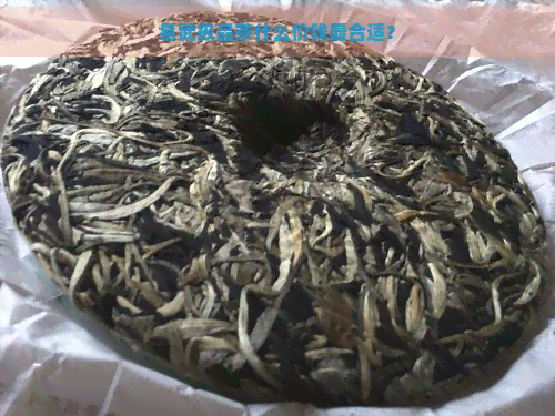 易武极品茶什么价钱最合适？