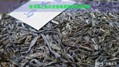 普洱茶上的红点是啥原因及茶内现象