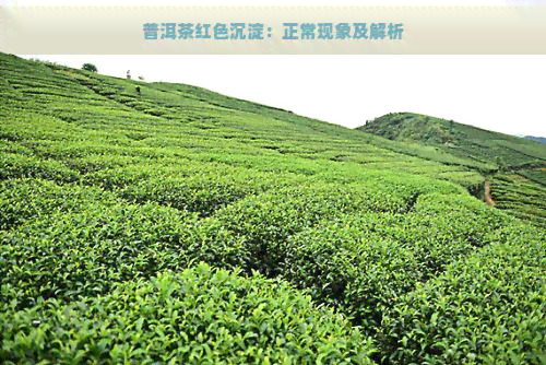 普洱茶红色沉淀：正常现象及解析