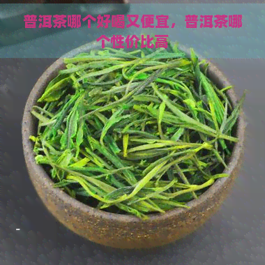 普洱茶哪个好喝又便宜，普洱茶哪个性价比高