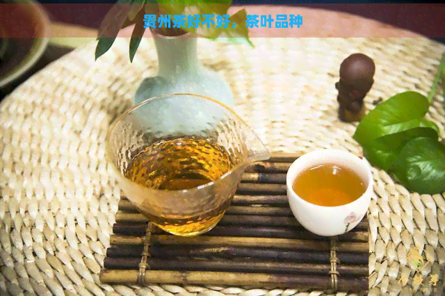 贵州茶好不好，茶叶品种