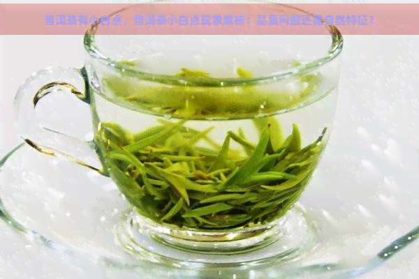 普洱茶有小白点，普洱茶小白点现象解析：品质问题还是自然特征？