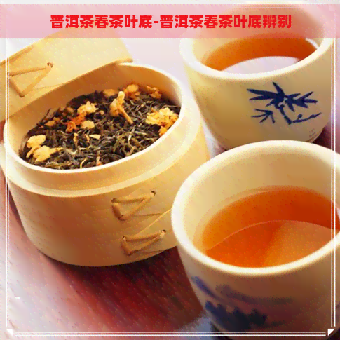 普洱茶春茶叶底-普洱茶春茶叶底辨别