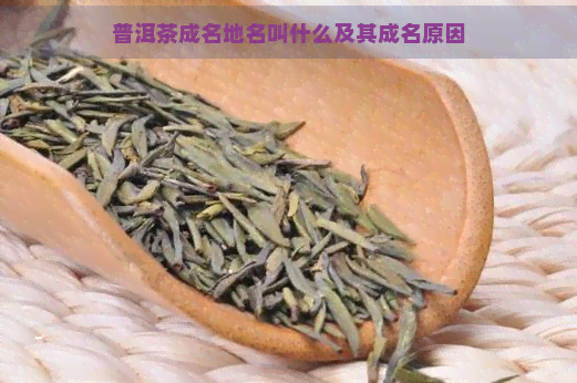 普洱茶成名地名叫什么及其成名原因