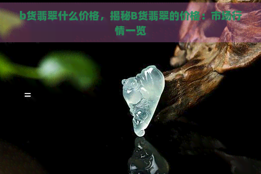 b货翡翠什么价格，揭秘B货翡翠的价格：市场行情一览