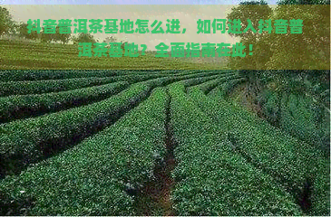 抖音普洱茶基地怎么进，如何进入抖音普洱茶基地？全面指南在此！