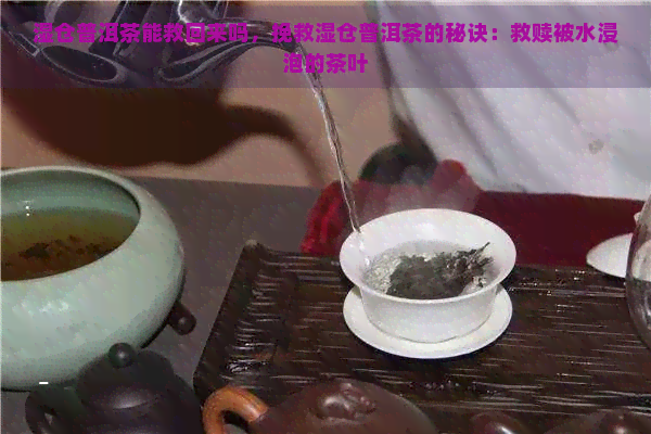 湿仓普洱茶能救回来吗，挽救湿仓普洱茶的秘诀：救赎被水浸泡的茶叶