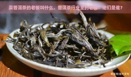 卖普洱茶的老板叫什么，普洱茶行业里的老板：他们是谁？