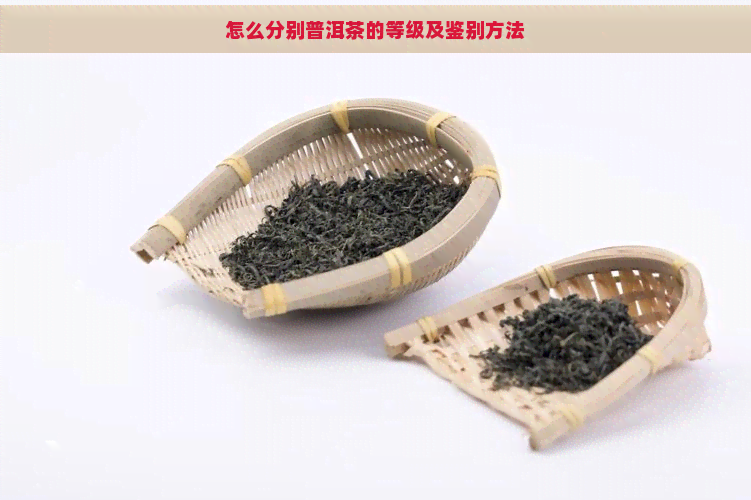 怎么分别普洱茶的等级及鉴别方法