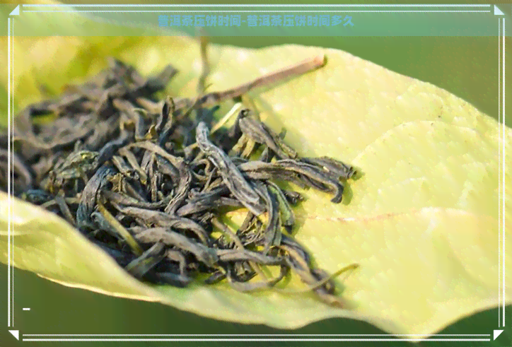 普洱茶压饼时间-普洱茶压饼时间多久