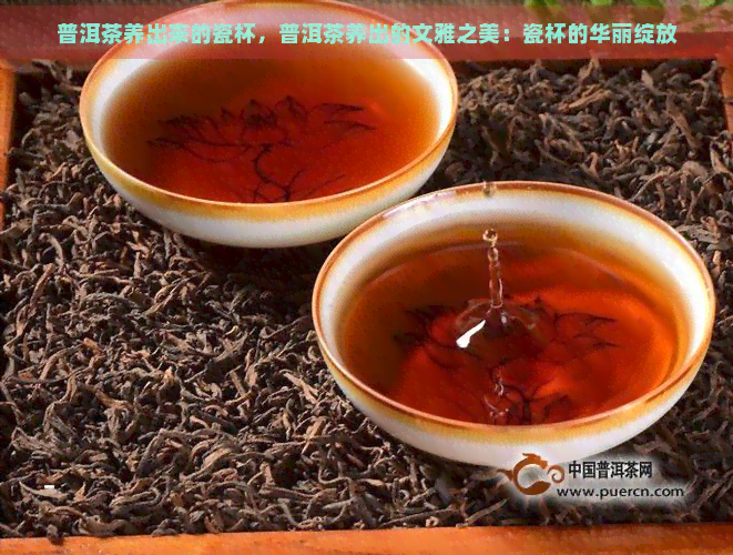 普洱茶养出来的瓷杯，普洱茶养出的文雅之美：瓷杯的华丽绽放