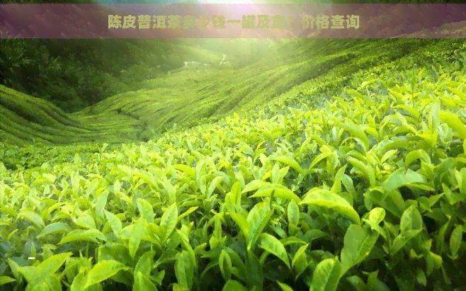 陈皮普洱茶多少钱一罐及盒？价格查询