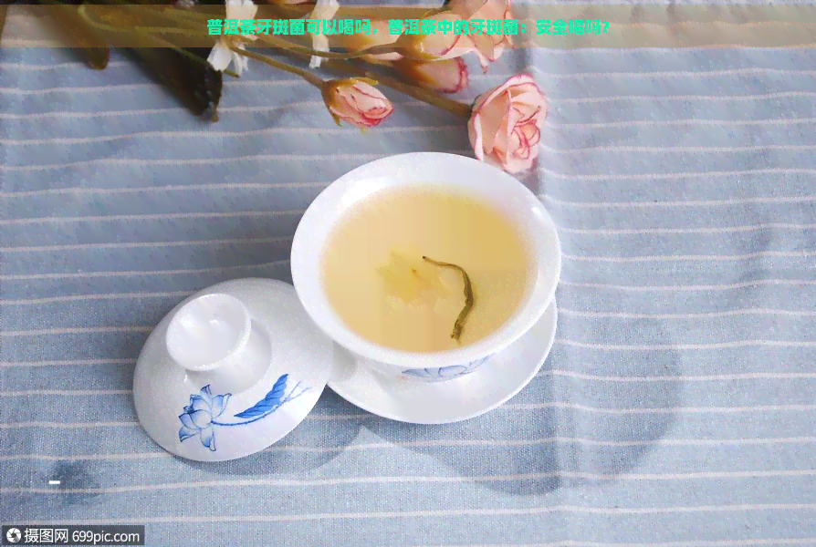 普洱茶牙斑菌可以喝吗，普洱茶中的牙斑菌：安全喝吗？