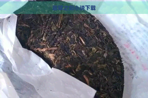 翡翠之剑小说下载