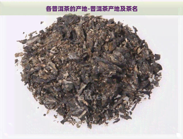 各普洱茶的产地-普洱茶产地及茶名