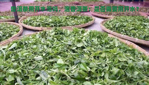 普洱茶用开水泡吗，泡普洱茶：是否需要用开水？