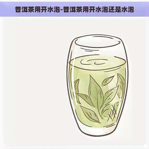 普洱茶用开水泡-普洱茶用开水泡还是水泡