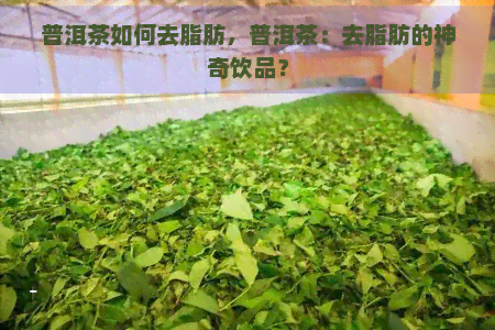 普洱茶如何去脂肪，普洱茶：去脂肪的神奇饮品？