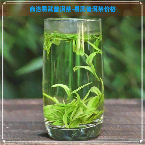 商洛易武普洱茶-易武普洱茶价格