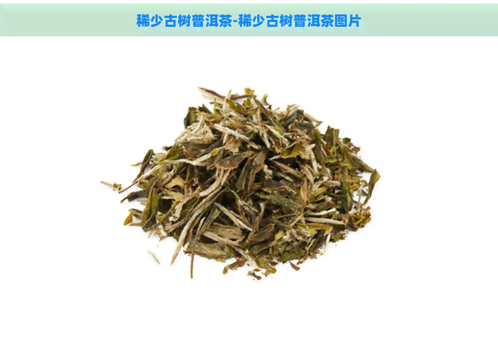 稀少古树普洱茶-稀少古树普洱茶图片