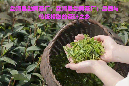 勐海县勐阿茶厂，勐海县勐阿茶厂：品质与传统相融的茶叶之乡