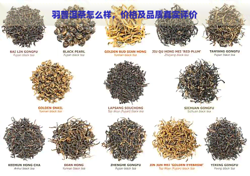 羽普洱茶怎么样，价格及品质真实评价