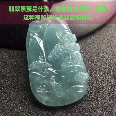 翡翠黑藓是什么，揭秘翡翠黑藓：探索这种神秘植物的起源和特征