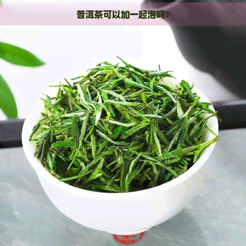 普洱茶可以加一起泡吗？