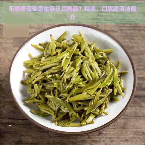 布朗普洱茶是生茶还是熟茶？特点、口感和泡法简介