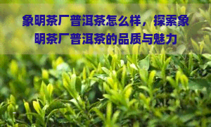 象明茶厂普洱茶怎么样，探索象明茶厂普洱茶的品质与魅力