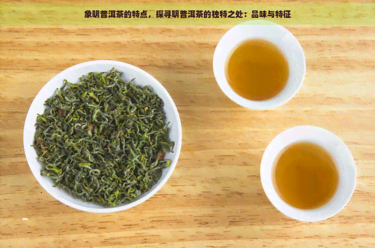 象明普洱茶的特点，探寻明普洱茶的独特之处：品味与特征