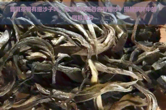 普洱茶根有细沙子吗，普洱茶根是否含有细沙？揭秘茶叶中的微粒成分