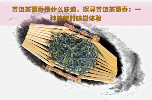 普洱茶菌香是什么味道，探寻普洱茶菌香：一种独特的味觉体验