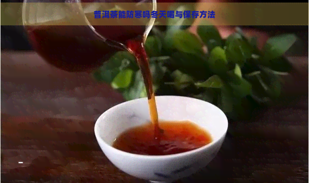 普洱茶能防寒吗冬天喝与保存方法