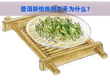 普洱茶怕热吗冬天为什么？