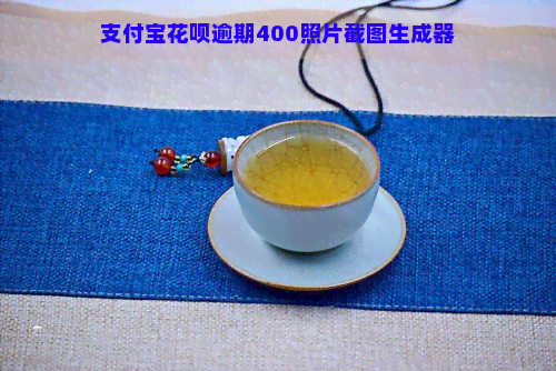 支付宝花呗逾期400照片截图生成器