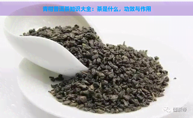 青柑普洱茶知识大全：茶是什么，功效与作用