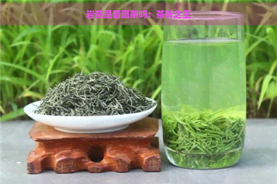 岩茶是普洱茶吗：茶叶之王