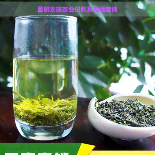 昆明太璞茶业招聘及电话查询