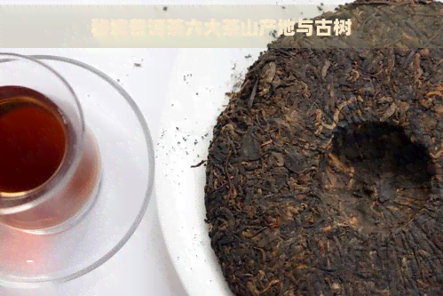 秘境普洱茶六大茶山产地与古树