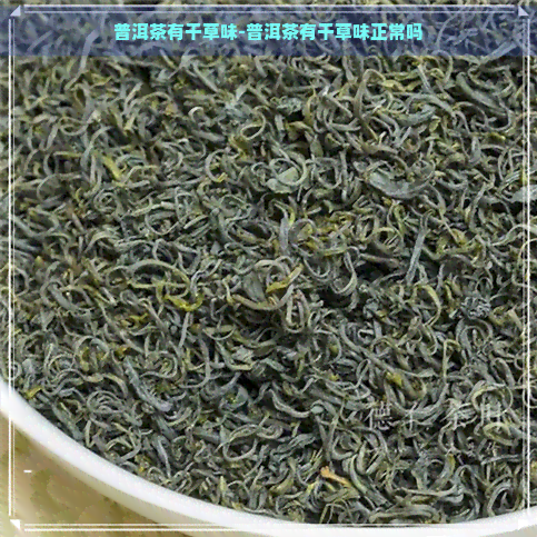 普洱茶有干草味-普洱茶有干草味正常吗