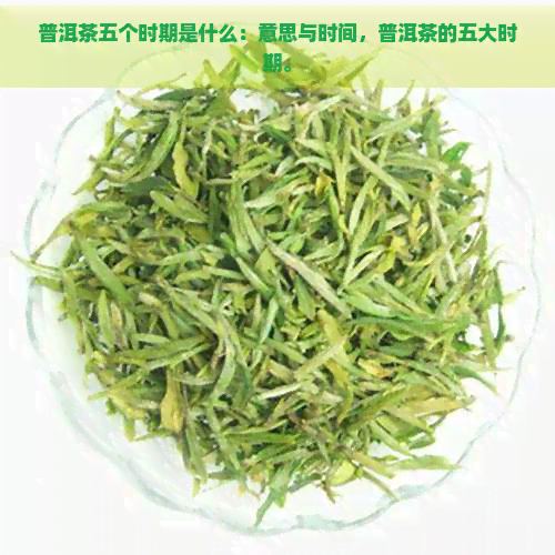 普洱茶五个时期是什么：意思与时间，普洱茶的五大时期。